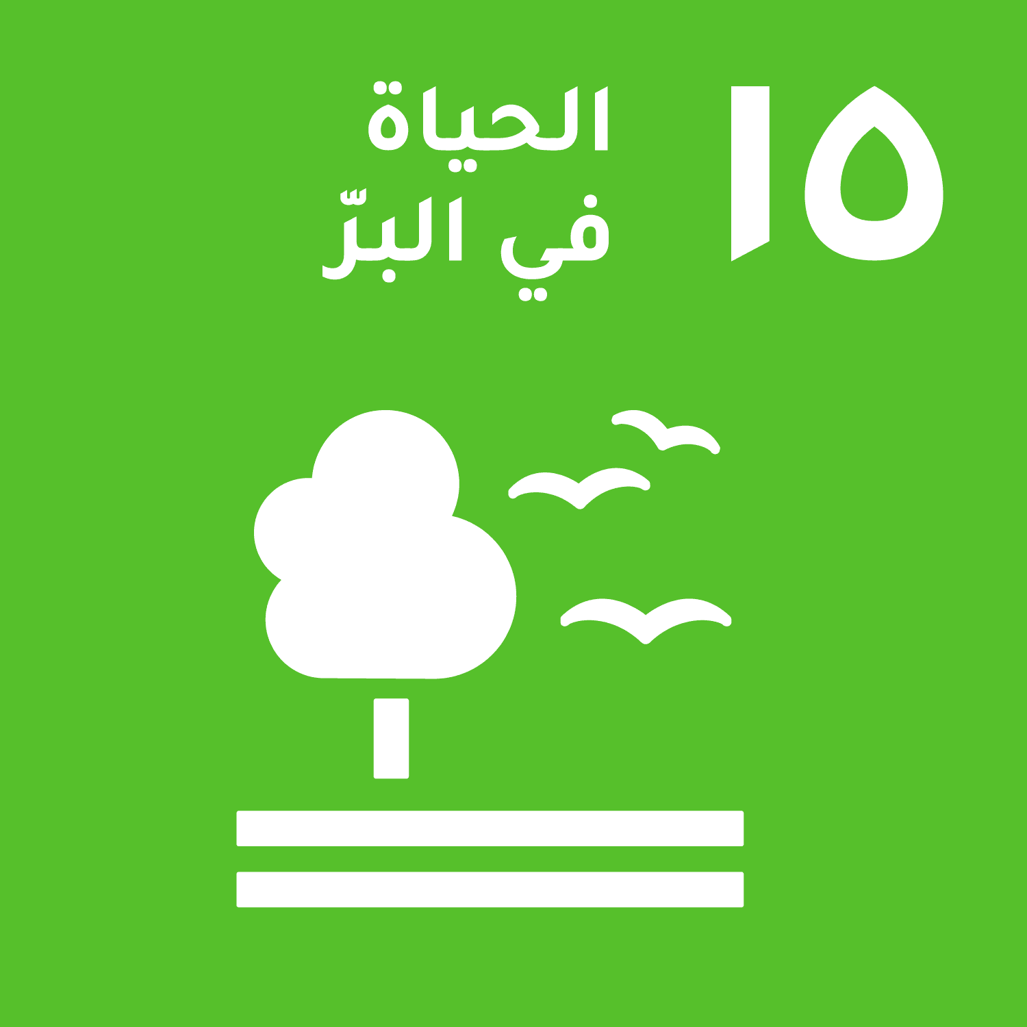 SDG 15: Life on Land