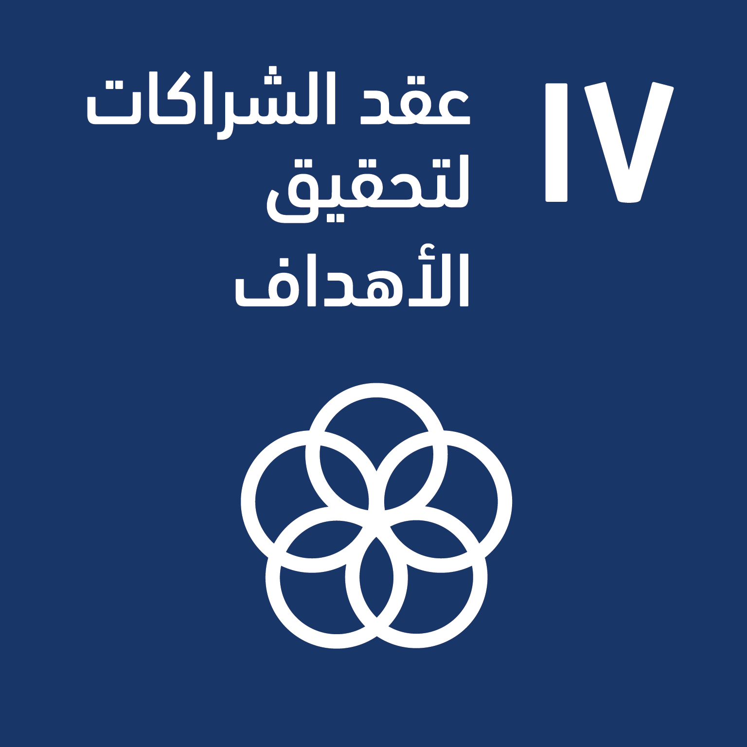 SDG 17 — الشراكات